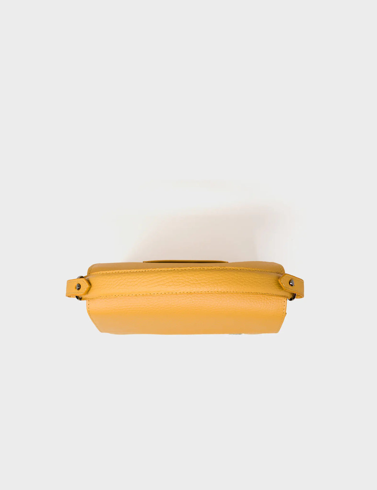 Anastasio Mini Crossbody Handbag Golden Glow Leather - Look Up - Inside View