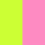 Bird In Boots Charm - Neon Lime and Pink Leather Keychain